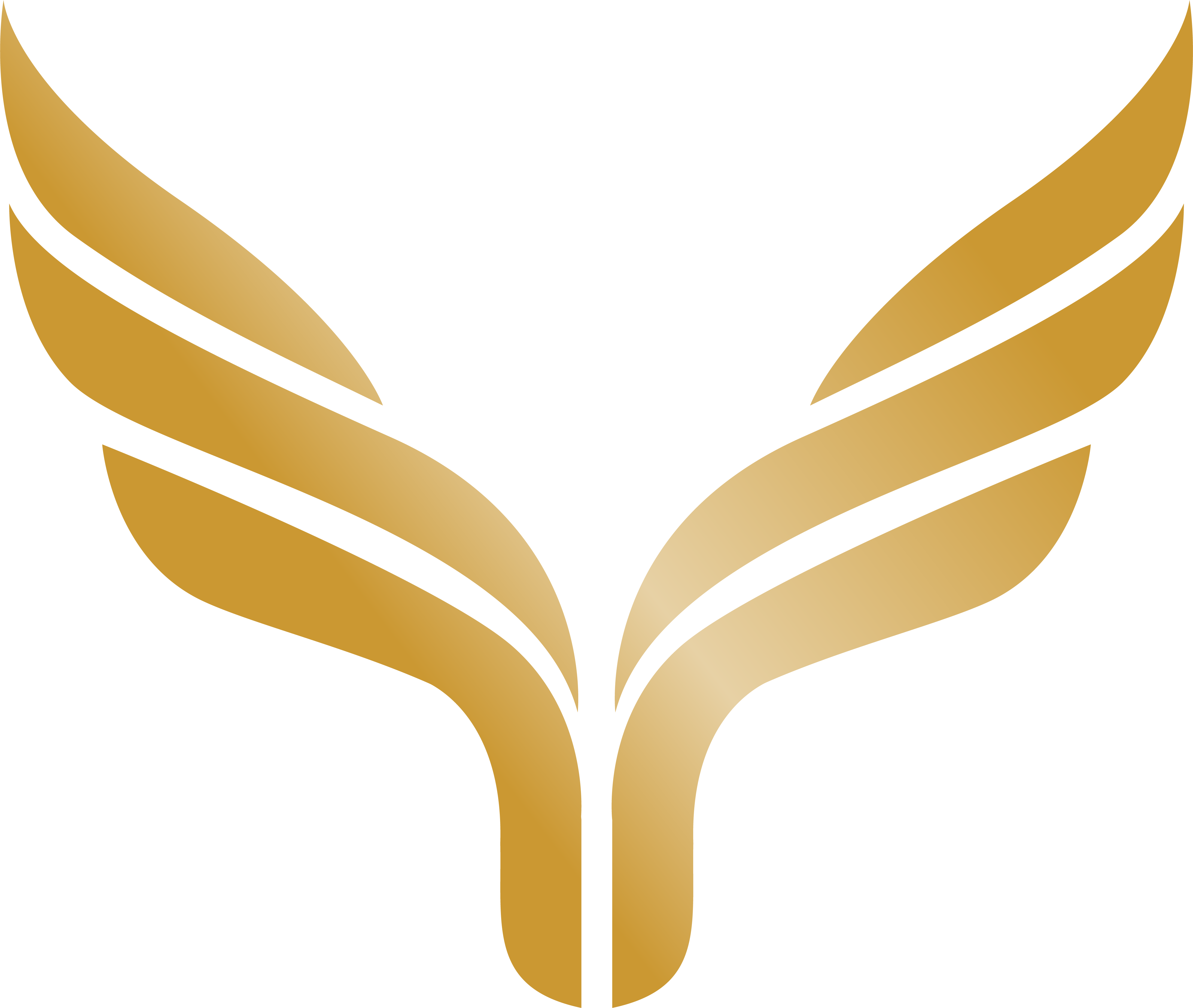 Titan Network